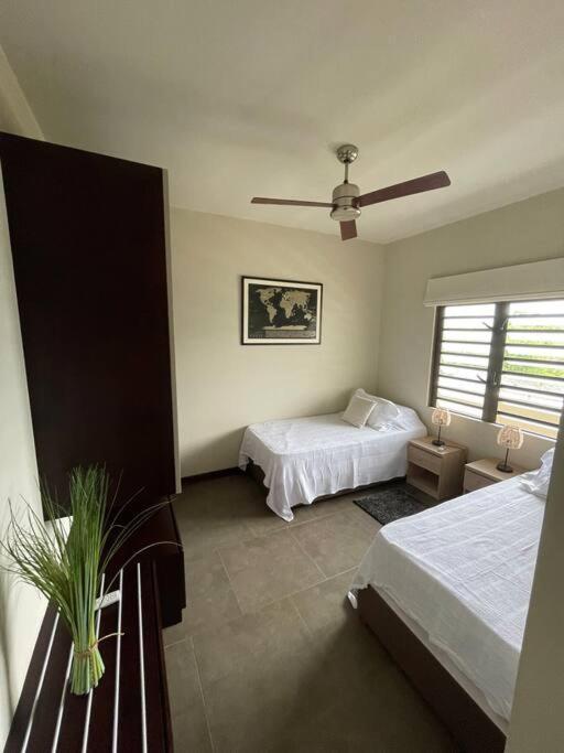 Les Alizees Grand Baie Appartement Buitenkant foto